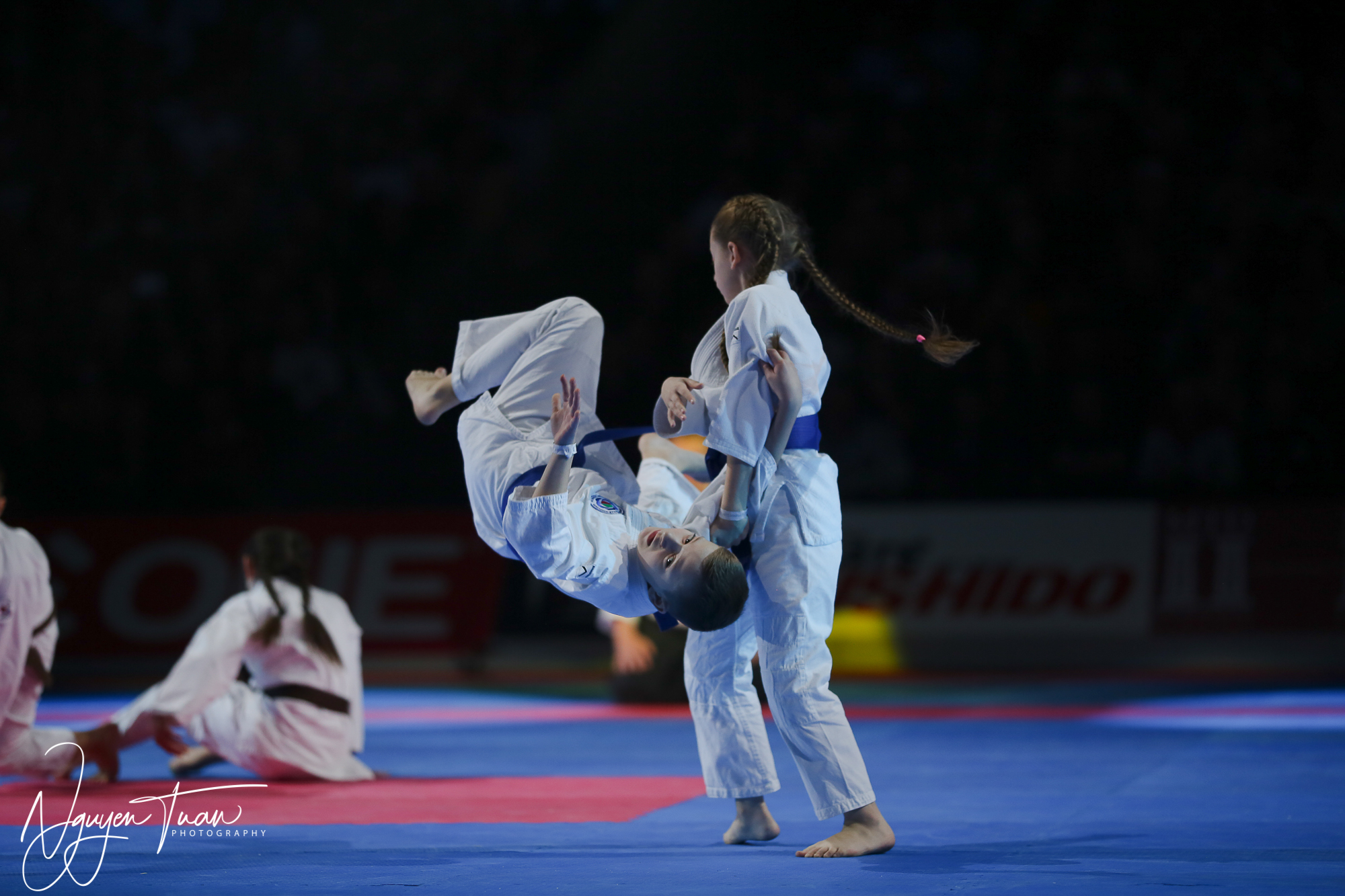 20190324 Festival des Arts Martiaux 3671